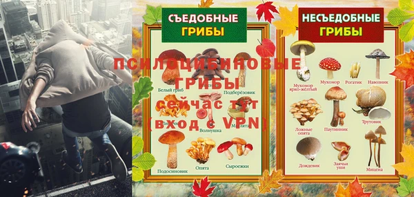 мяу мяу мука Лагань