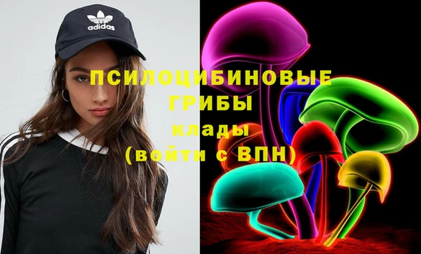 не бодяженный Алексин