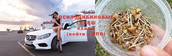 не бодяженный Алексин